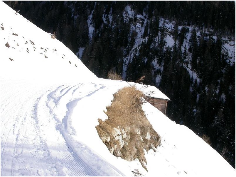 Panorama11